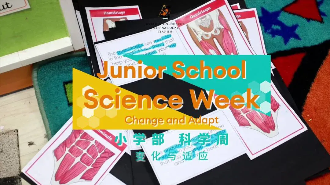 Junior School Science Week